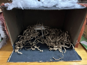 470793828_1170065534777293_6248929497287767990_n