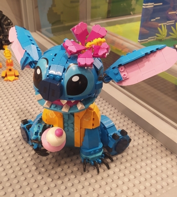 480548185_1221276226322890_5072379915884493876_n