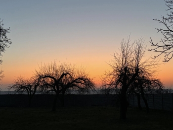 487392080_1251672773283235_6968113348346956567_n