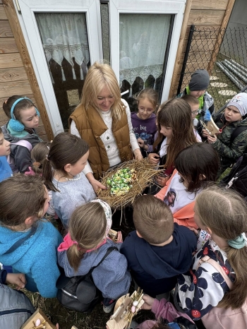 491583086_1265555478561631_3641584711387057585_n