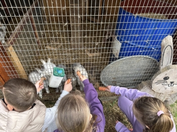 491984430_1265555765228269_5434569169146205759_n