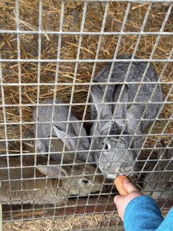 490549415_1265554788561700_3758805083774658537_n