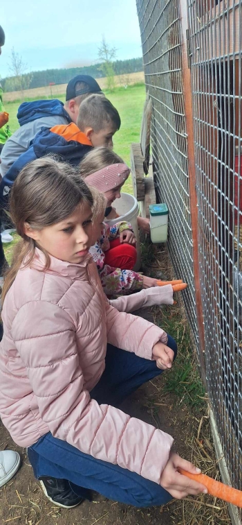 490407666_1265555928561586_6145719374767619015_n