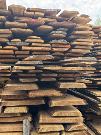 490258238_1265555471894965_2875080300264362223_n