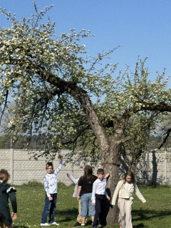 490433395_1266408068476372_2302488634387928822_n