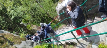 5999c431-b20d-4cb9-87a8-c6a47efb81c7