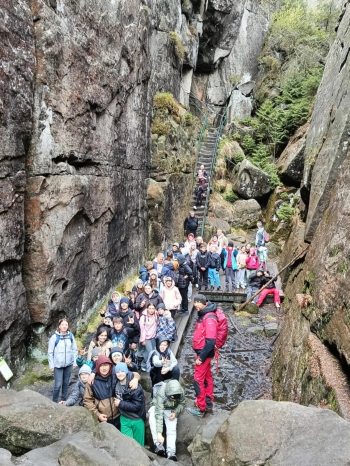 a4f73fa1-f133-450f-8571-9dd3d93ee4e4