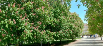 2e7c7d48-f00e-42dd-a05f-948662e950df