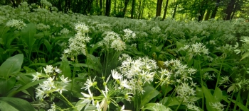 fc25d124-ab16-4e6c-8834-21515766b5ca