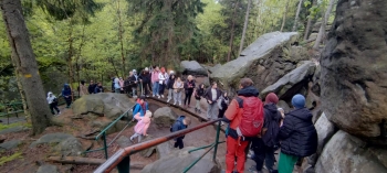 826d1ae1-3922-4622-ad07-5a1e10ea33b3