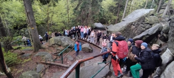 2ba3e374-1b08-47cd-b38c-11acf5cb8e6b