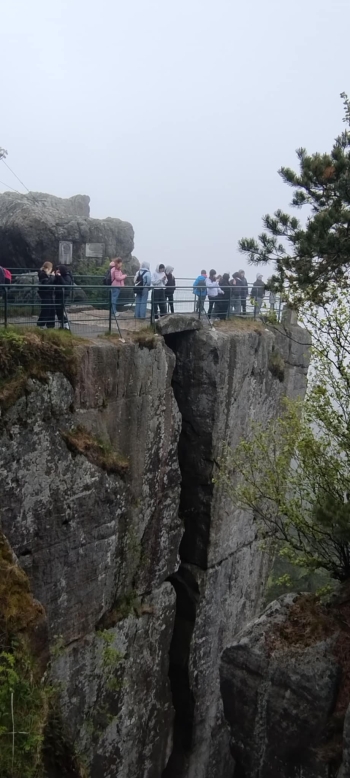 2bc2b843-8c58-470c-9941-d01c0b7443a1