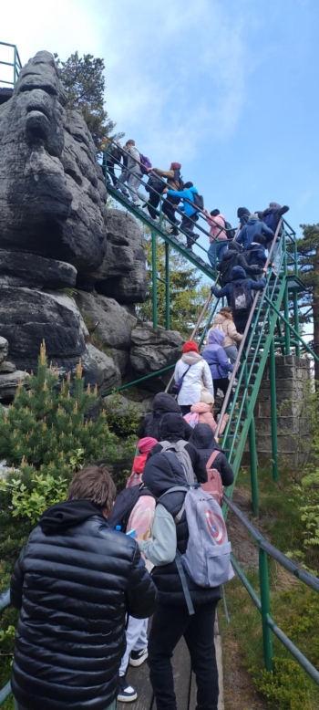 310f9524-80df-41aa-8d68-a2ad27943f2e