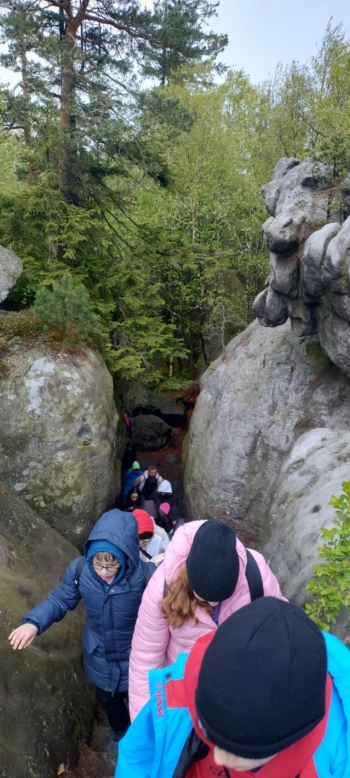 7e7ca435-a355-42fb-95fa-9df0699a6a17