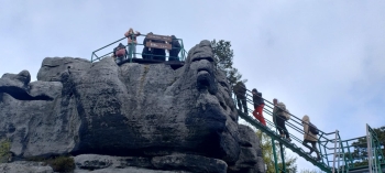 298e7c4c-c785-40f8-b054-3f58b0eaf395