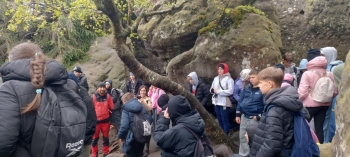 64126b86-74f4-4a1e-9896-3ea38a95b5a5