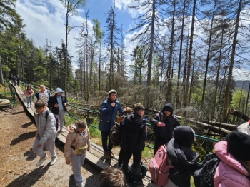 579e93a8-67dc-4240-9a5b-8f95d946e714