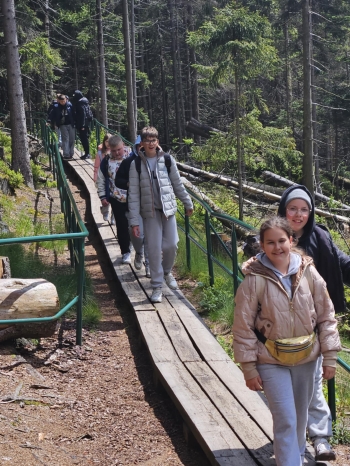 175d2b41-42e3-4199-a62e-0cc44a3554a8