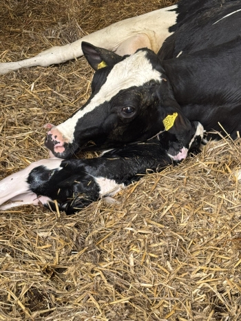 510606628_1321858069598038_8831401109352280823_n