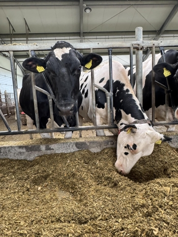 510975824_1321857639598081_4365518300666724991_n