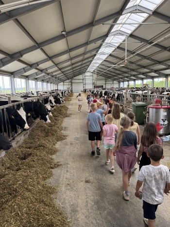 510577903_1321857029598142_3240357191486605102_n