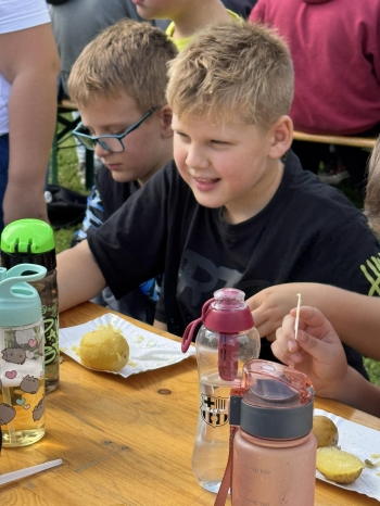 552909356_1401275868322924_5861533830005497025_n