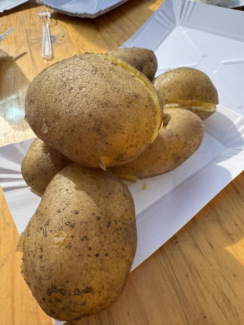 552858626_1401275418322969_5275356778134226622_n