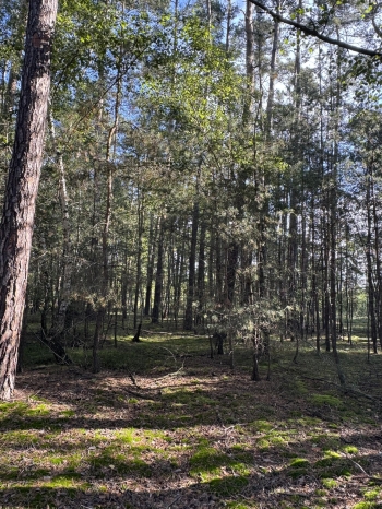 553320014_1401275721656272_2666234255069001275_n