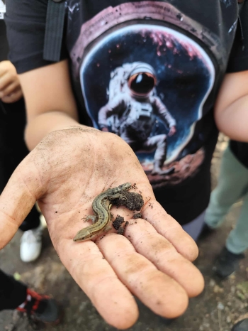 550693092_1401048168345694_2863101991787410948_n