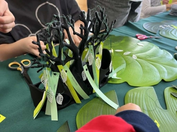 554412166_4298685720418242_8214140308044635058_n