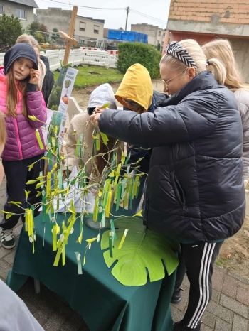 554240285_1572952017021318_100797119753283194_n