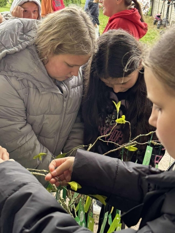 557743699_652219934391211_3559741845428502342_n