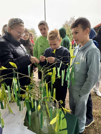 552871500_1146313994074108_2553689305702528813_n