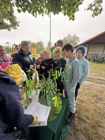 555757167_1137860094548544_1416545662921264911_n