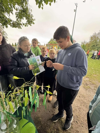 557632705_2065879787279955_4511264835195057313_n