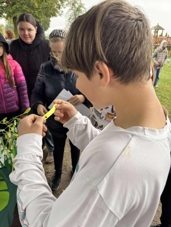 553117498_1208090191460234_2850550652569283797_n