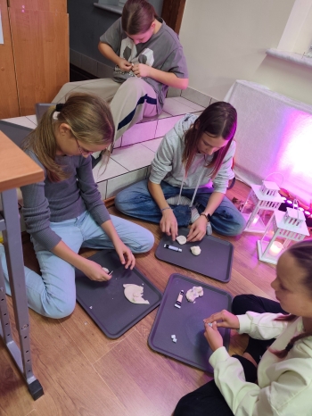 564627633_122099461059076792_2938086098380024286_n