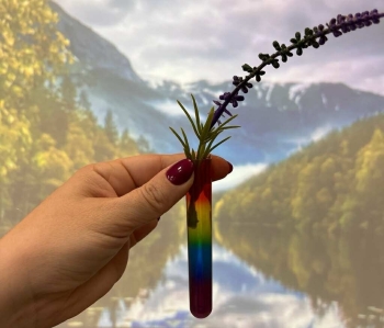 571765519_122104047807076792_3528405720985075050_n