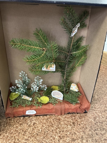 572012002_122105051061076792_5844688385503347408_n