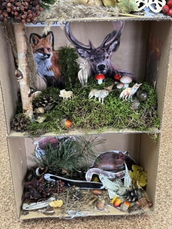 574089681_122105051025076792_4402300343427014290_n