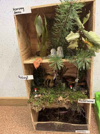 572115943_122105051037076792_3645177304849426675_n