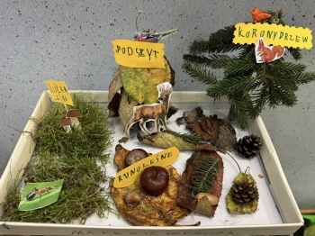 571339432_122105051001076792_5173523001858637817_n