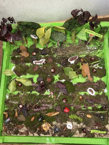 571622360_122105051079076792_2656378967900317874_n