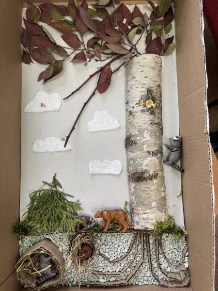 ''Warstwy lasu'' w wykonaniu uczniów z klasy 3