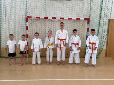  UKS Shodan